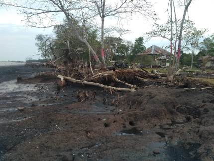 Abrasi Pantai Wisata Senekip Bantan Semakin Tak Terbendung