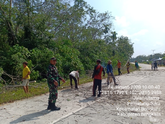 DiSaat Patroli Karhutla Anggota TNI Goro  Pohon Tumbang di Desa Pematang Duku