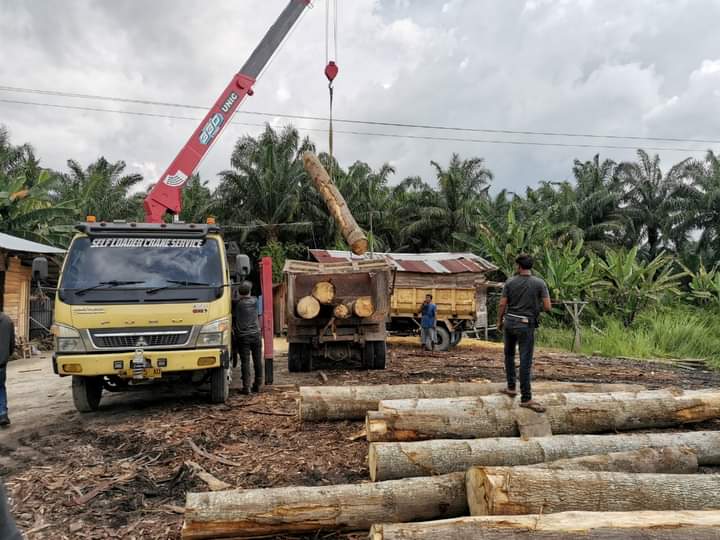 Menteri LHK Ungkap Jaringan Perusak Hutan di Riau