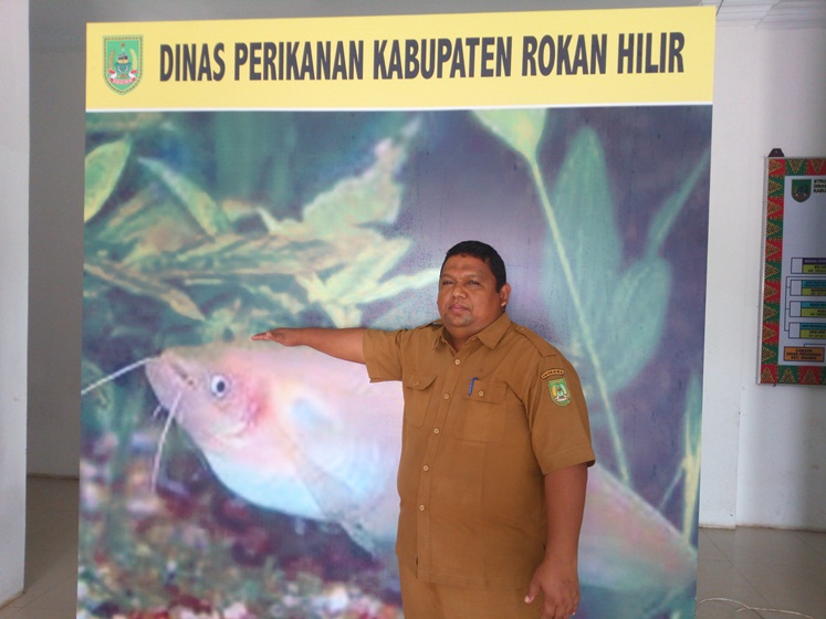 Diskan Rohil Jadi Pusat Percontohan Budidaya Kerang Dan Pembenihan Ikan