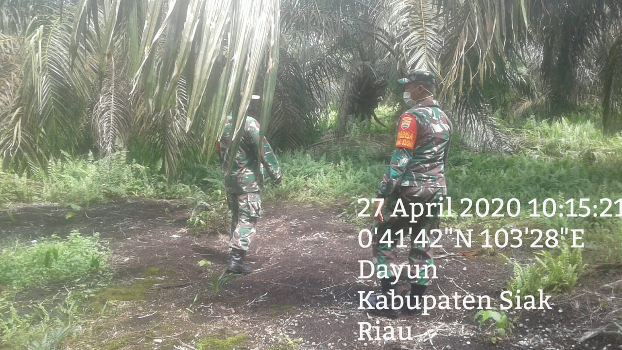 Babinsa Koramil 03/Siak Patroli Karhutla di Kampung Dayun Wilayah Rawan Kebakaran.