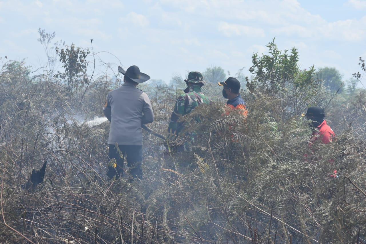 Inhu Siaga Darurat Karhutla