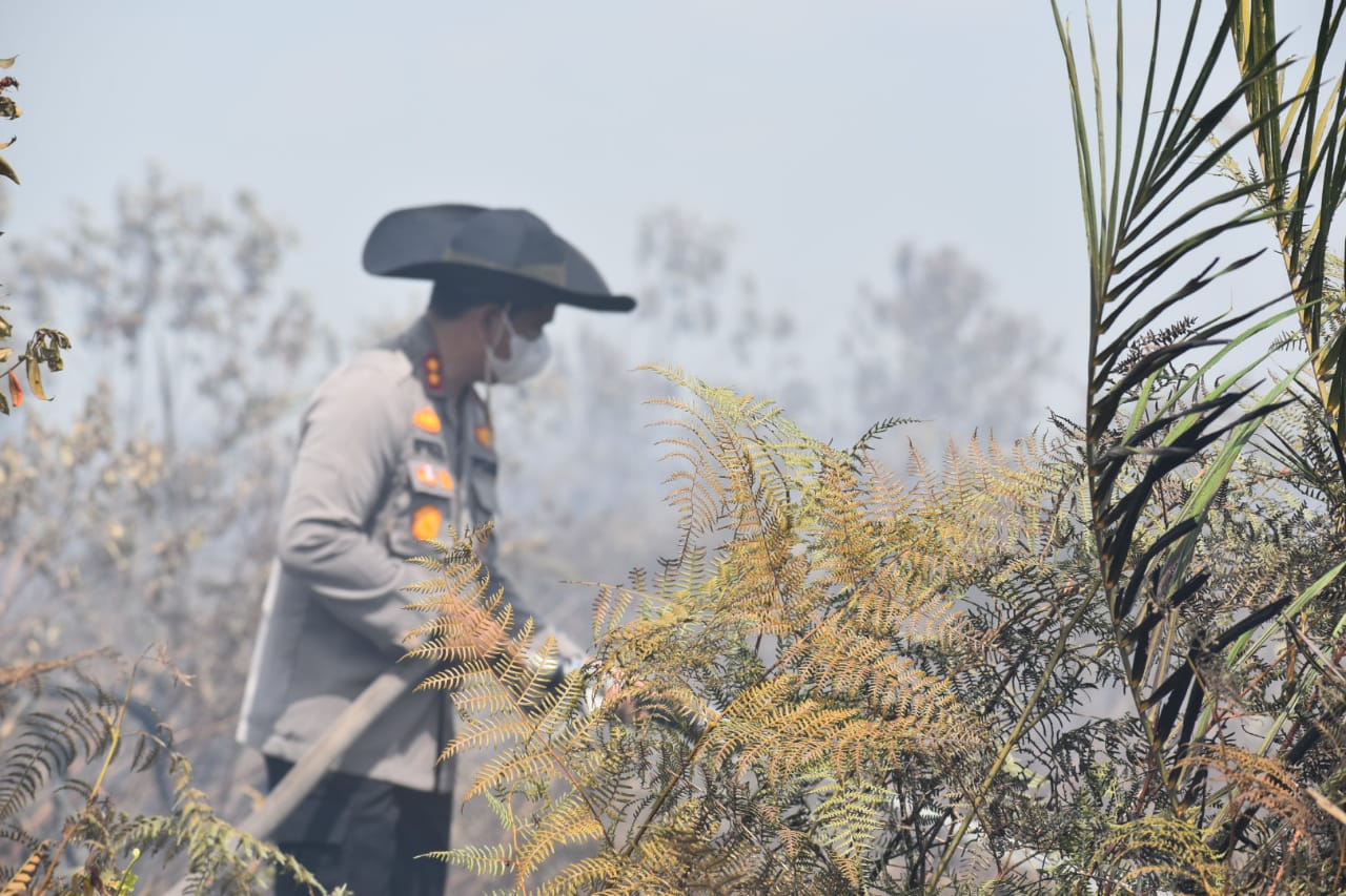 Lima Hektar Lahan Terbakar di Inhu, Bau Asap Mulai Menyengat