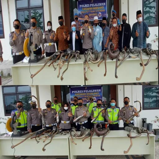 Tomas dan Polres Pelalawan Musnahkan 30 Knalpot Brong
