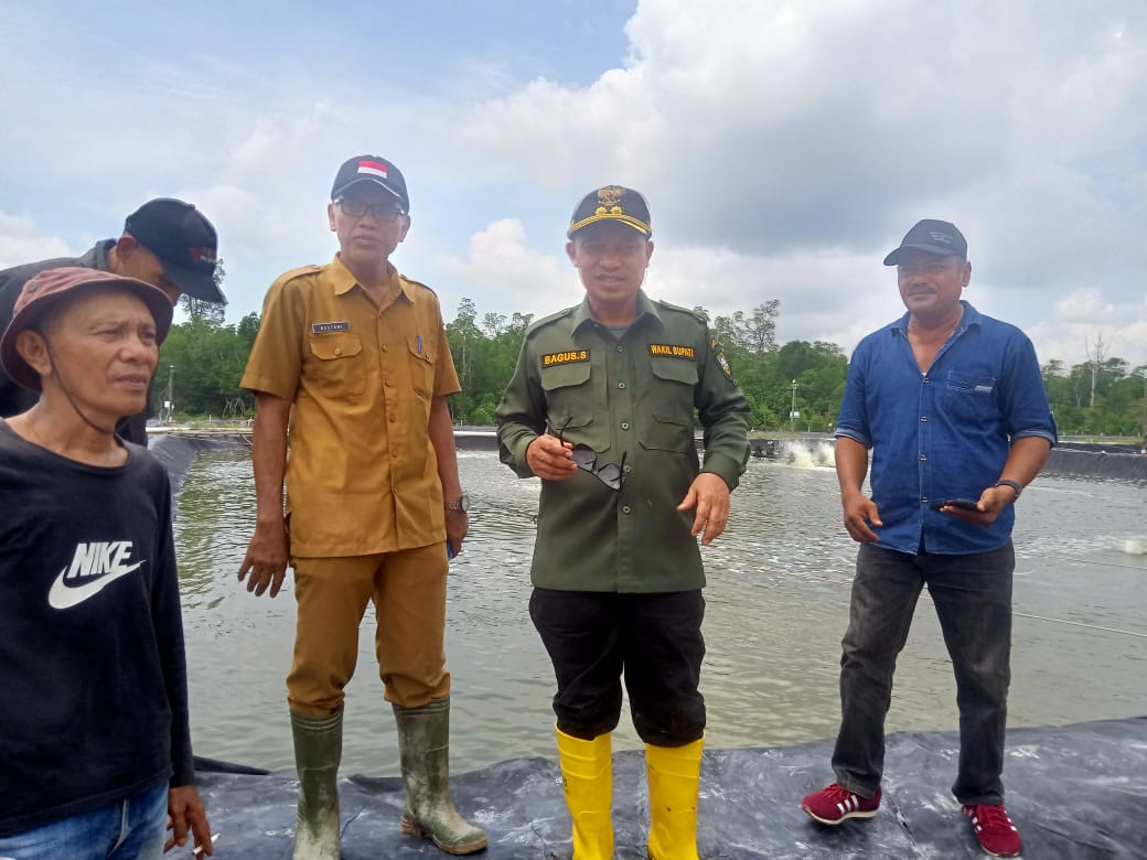 Pulau Bengkalis Hasilkan 2.000 Ton Udang Vanamei Per Tahun, Bagus Santoso: Potensi Ini Harus Kita Ambil