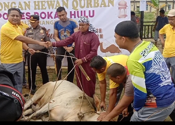 Polres Rohul Sembelih Â 16 Ekor Hewan Qurban,langsung dibagi ke Masyarakat
