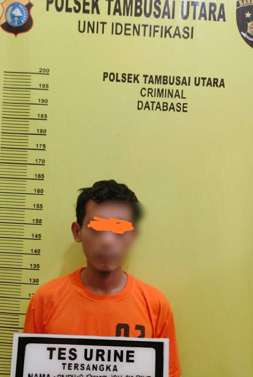 Penyidik Polsek Tambusai Utara diminta ungkap Kasus Dugaan Pemerkosaan Terang-Terangan