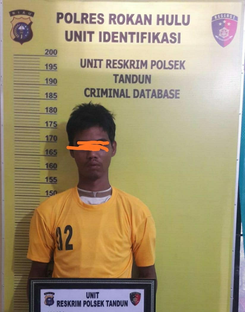 Polsek Tandun Berhasil Ungkap Terduga Pelaku Penggelapan Sepeda Motor