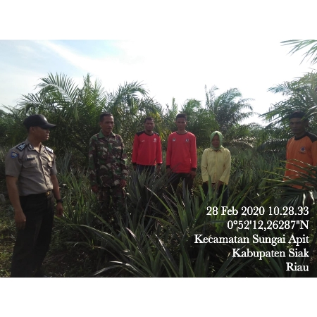  Kewaspadaan Warga Bahaya Karhutla, Patroli Dilakukan di Kampung Teluk Mesjid Siak.