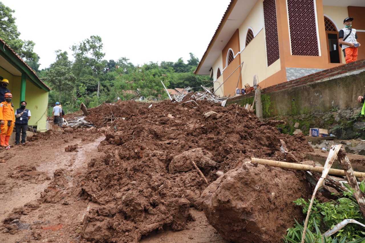 Cegah Longsor, BNPB Ajak Tanam Pohon di Kemiringan