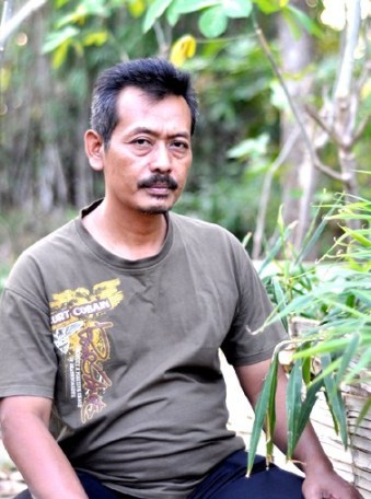 Peluang Usaha Budidaya Jahe Merah: Omset Melejit Dari Lahan Sempit