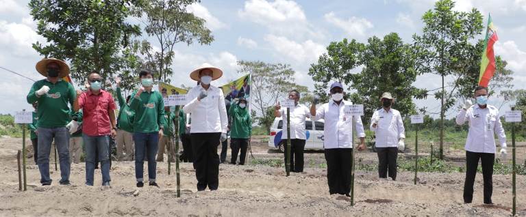 Pulihkan Ekonomi di Tengah Pandemi, Pemko Tanam Bibit Porang di Lahan 7 Ha