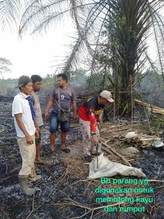 Buka Lahan Untuk Tanam Padi, 2 Tersangka Terjerat UU Lingkungan Hidup