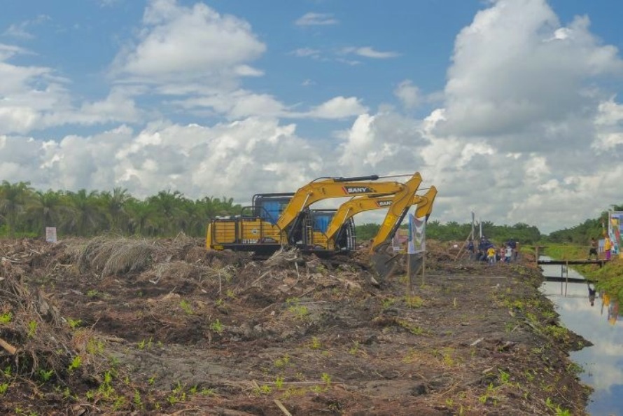 Berikut 10 Kabupaten di Riau Penerima Bantuan Replanting, Ini Daerahnya