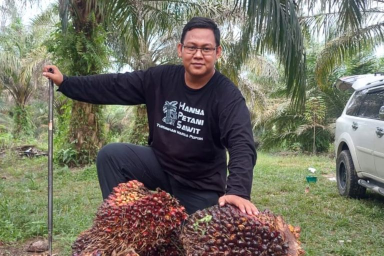 Naik Lagi, Inilah Daftar Harga Tandan Buah Segar Hingga 12 April 2022