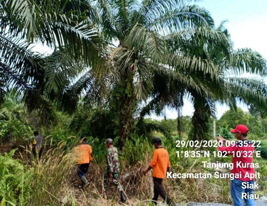 Pantau Aktivitas Warga Patroli Karhutla Serda Robi Anggota Koramil 06/Sungaiapit Siak