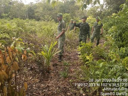 Danramil 01/Bengkalis: Kita Tindak Tegas Oknum yang Sering Buka Lahan Cara Membakar
