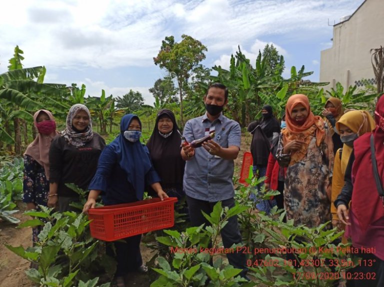 Disketapang Kota Pekanbaru Siasati Strategi Pemulihan Ekonomi Lewat Ketahanan Pangan