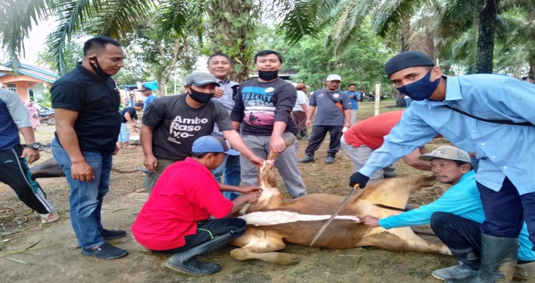 Masyarakat Sidomulyo Sembelih Hewan Kurban 24 Ekor 