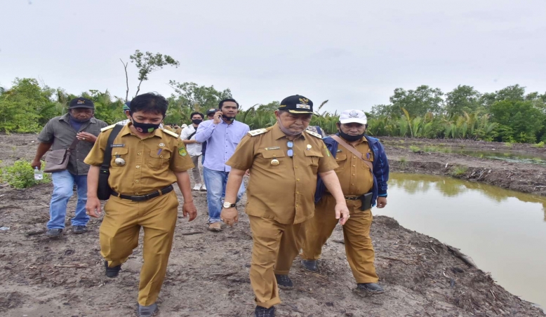  Wabup SU; Dikelola Koperasi Harmony Berkah Mandiri Akan Muncul Udang Vaname Made In Inhil