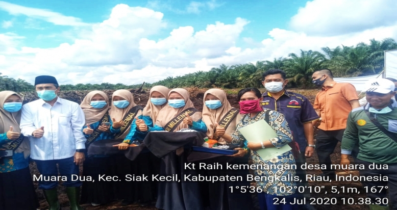 Gubri bersama Legislator Senayan Tanam Perdana Sawit, Petani:Terimakasih Presiden dan GTW