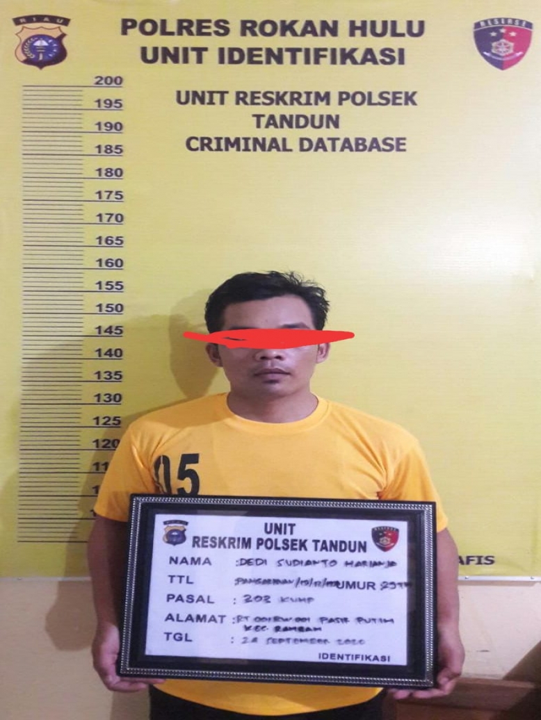 Dua Pelaku Judi Domino di Ringkus Polsek Tandun