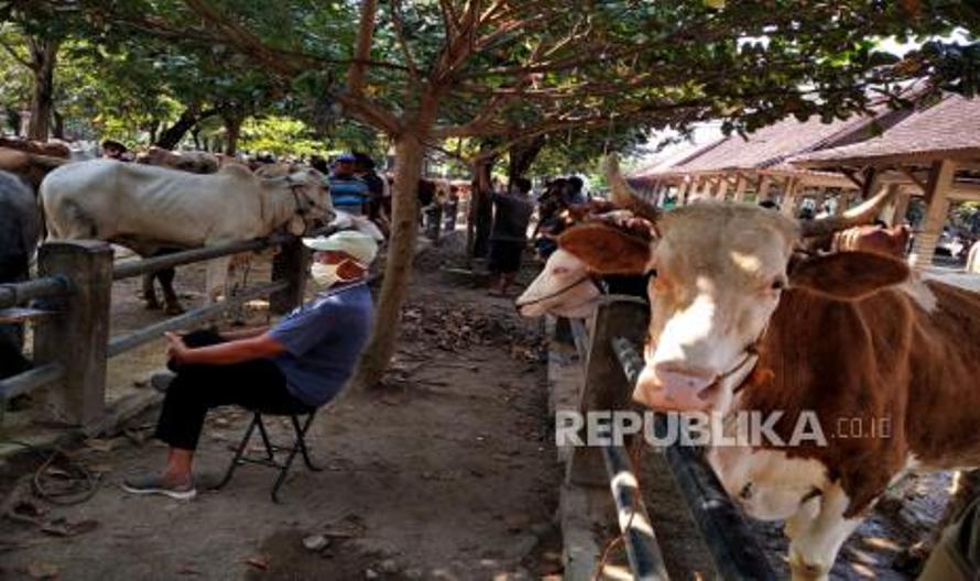 Makna Berqurban Bagi Umat Islam