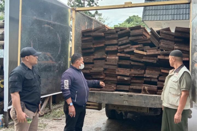 Gakum KLHK Tangkap Perambah Kayu di Cagar Biosfer Giam Siak Kecil