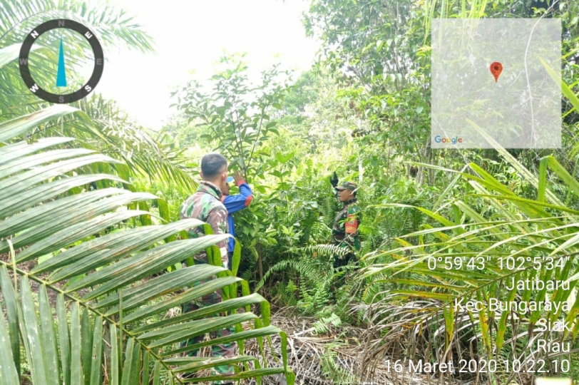 Patroli Pencegahan Karhutla Babinsa Koramil 09/Minas Sambil Sebarkan Poster
