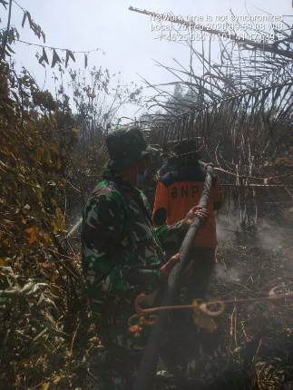 Karhutla Di Pulau Rupat Ada Dua Titik Api Tim Gabungan Sedang Lakukan Pendinginan