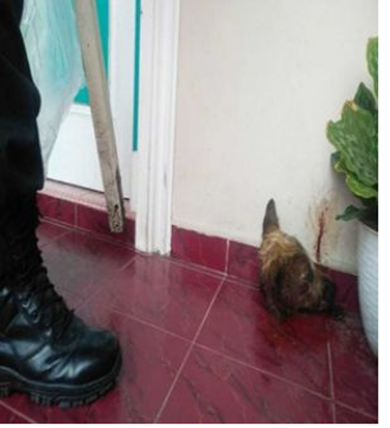 LSM Komunitas Pemberantas Korupsi Minta Polisi Usut Tuntas Teror Rumah Kasipenkum Kejati Riau