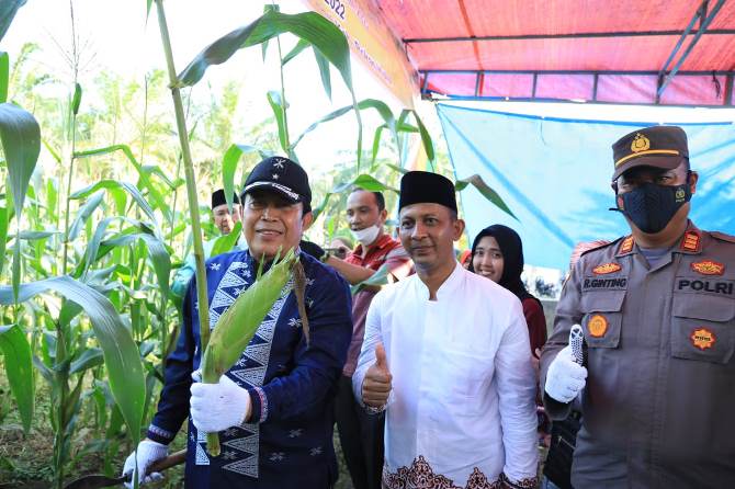 Bupati H. Sukiman Apresiasi Pemdes Sialang Rindang Manfaatkan Lahan Kosong untuk Pertanian