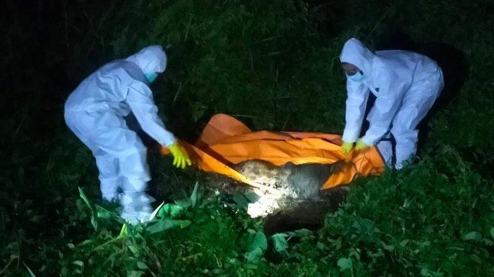 Penemuan Mayat di Kampar, Nyaris Tinggal Tengkorak, Jenis Kelamin Pria Diduga Tewas 3 Pekan Lalu