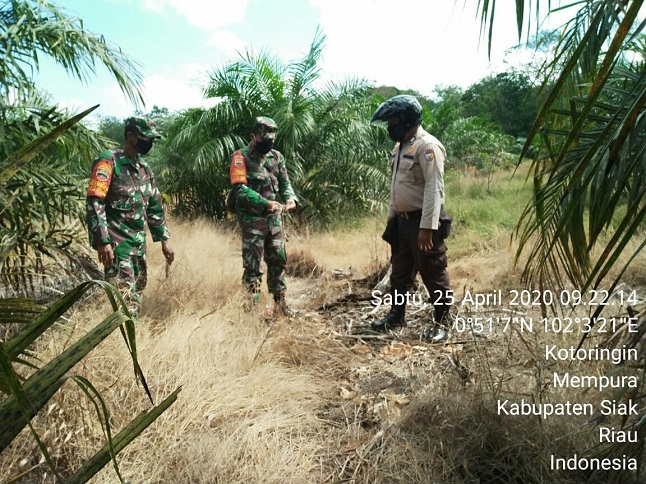 Babinsa Koramil 03/Siak Patroli Karhutla Di Lahan Rawan Kebakaran Kampung Kotoringin Siak