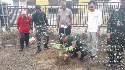 Selama Ini Gersang dan Berdebu  Jalan Raya Perawang Minas Di Tanam Pohon Pelindung