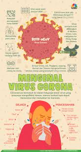 Meski Belum Ada Masyarakat Terserang Virus Corona, Dinkes Inhu Waspada